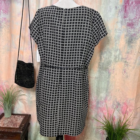 NWT๐Shelby & Palmer Dash - Dot Clean Lines Work to Weekend Dress with Pockets - Picture 2 of 16